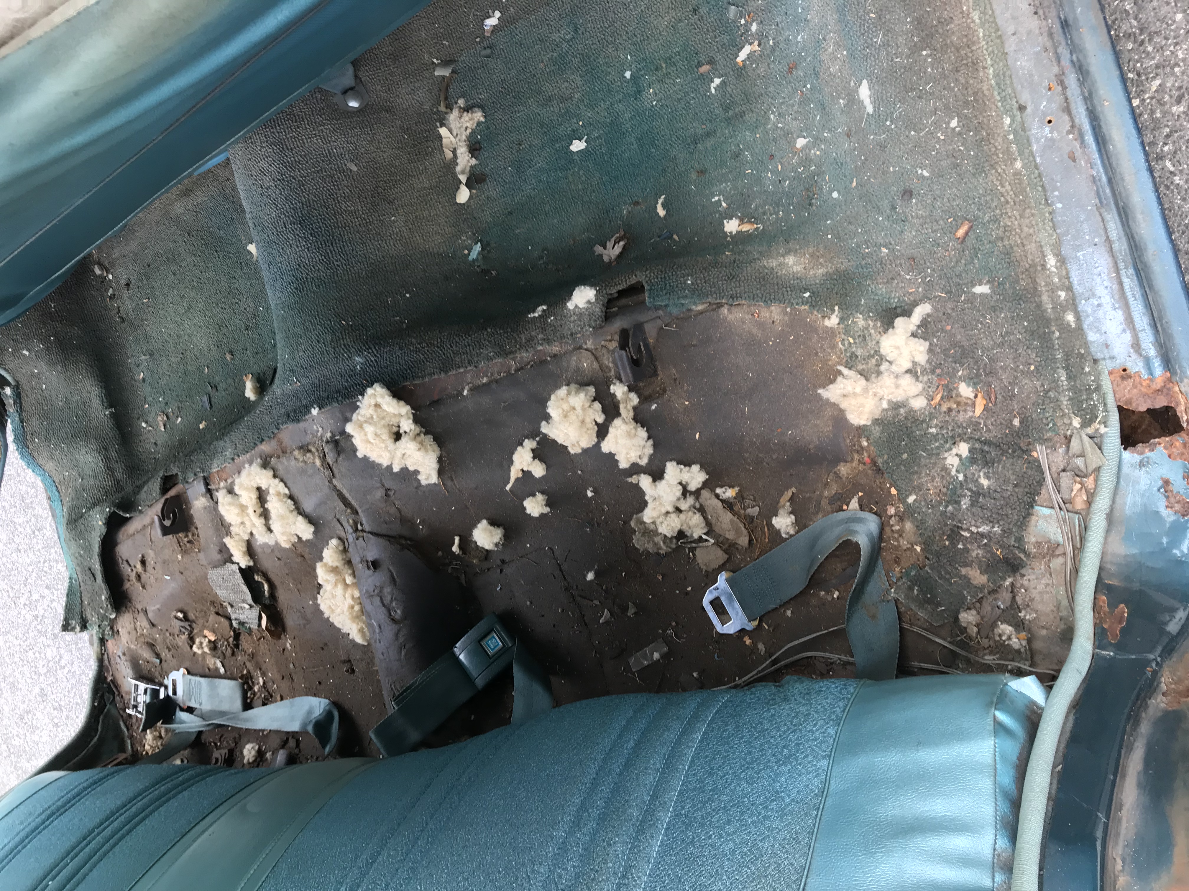 rear floor with no seat